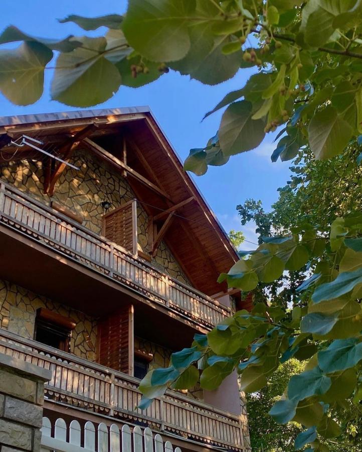 Hotel Konaci Nikola Banja Vrujci à Gornja Toplica Extérieur photo